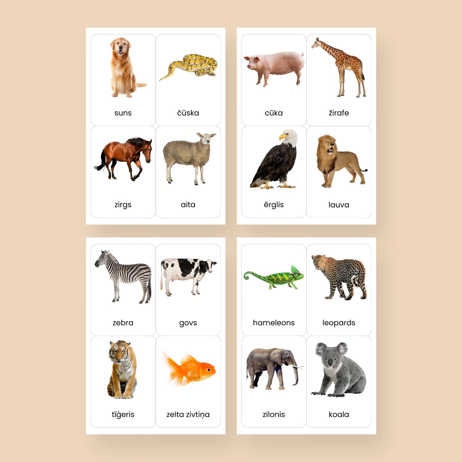 Dzīvnieku raksti krāsas kartītes