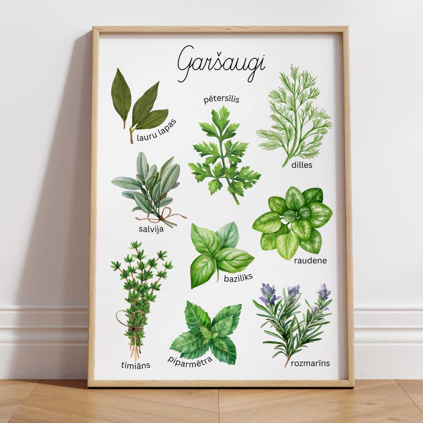 Garšaugi plakāts par garšaugiem baltaita