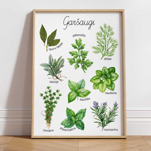 Garšaugi plakāts par garšaugiem baltaita