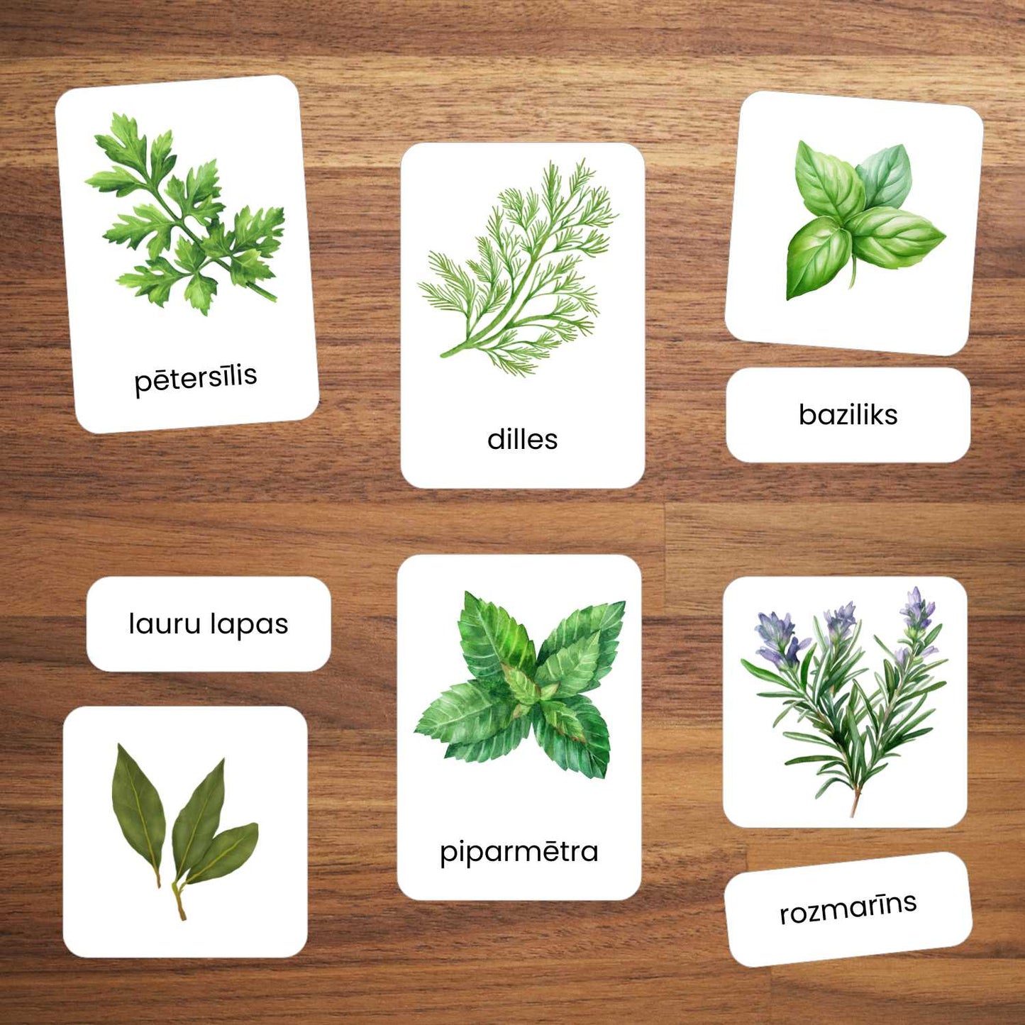 Garšaugu kartītes krāsainas kartītes ar garšaugiem baltaita