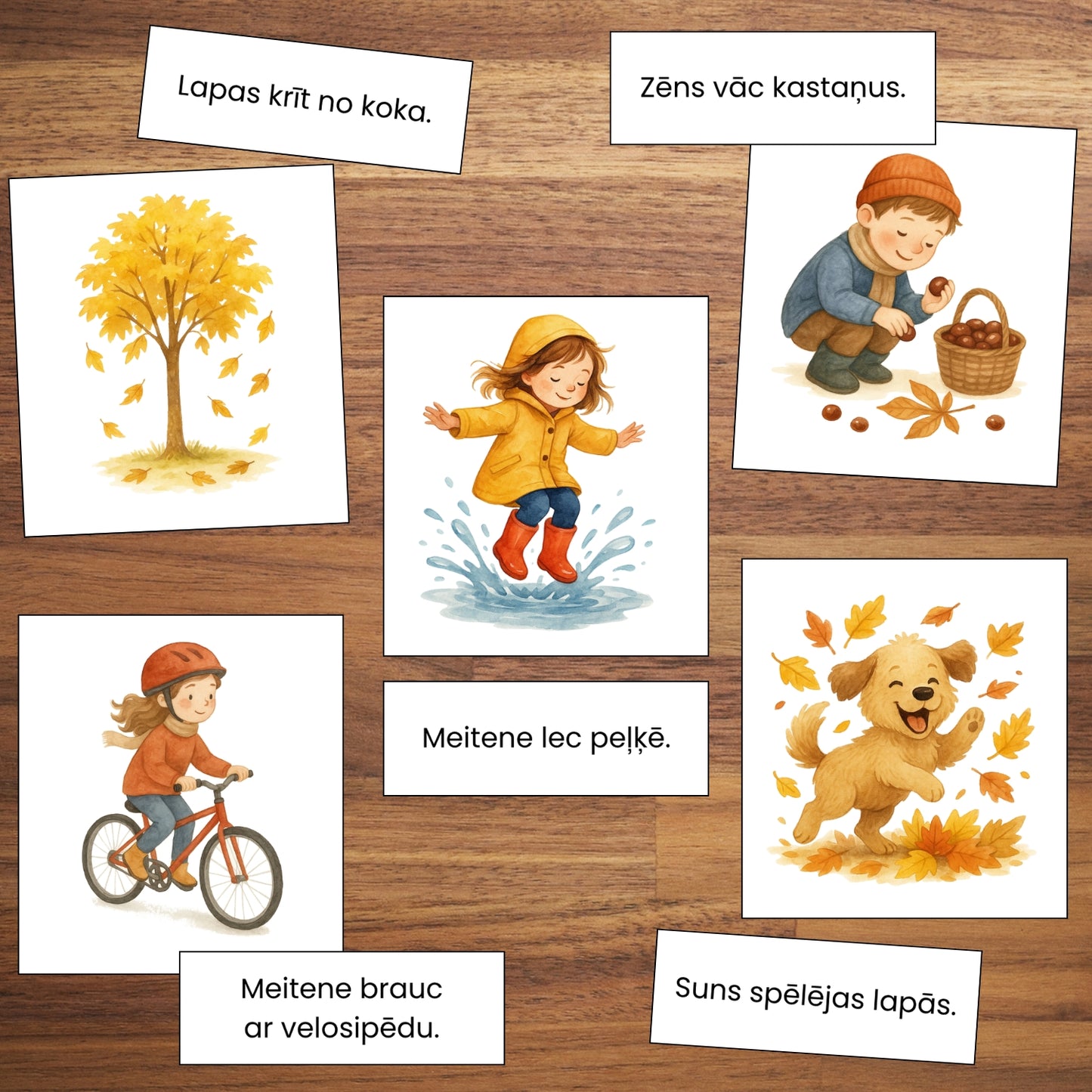 Lasīšanas kartītes - īsi teikumi, rudens baltaita mācību materiāli rudens tematika