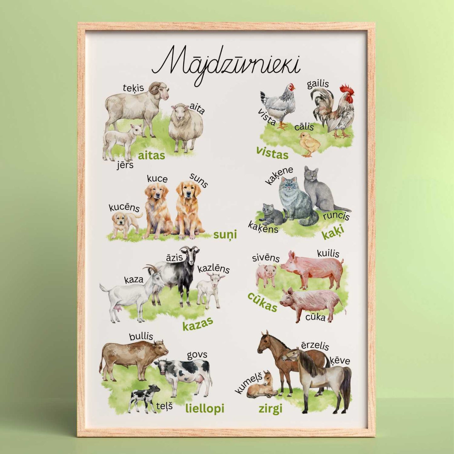 Mājdzīvnieku plakāts krāsaini mājdzīvnieku attēli plakāts baltaita