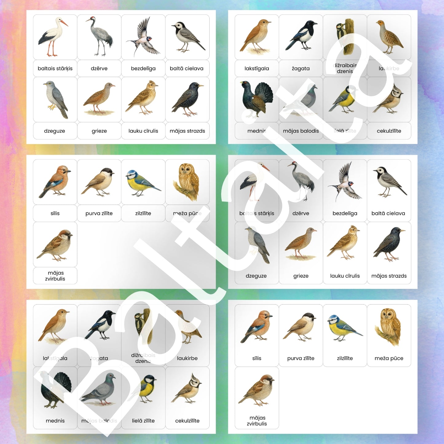 Nometnieki un gājputni - kartītes krāsainas putnu kartītes rādāmās kartītes par putniem Baltaita