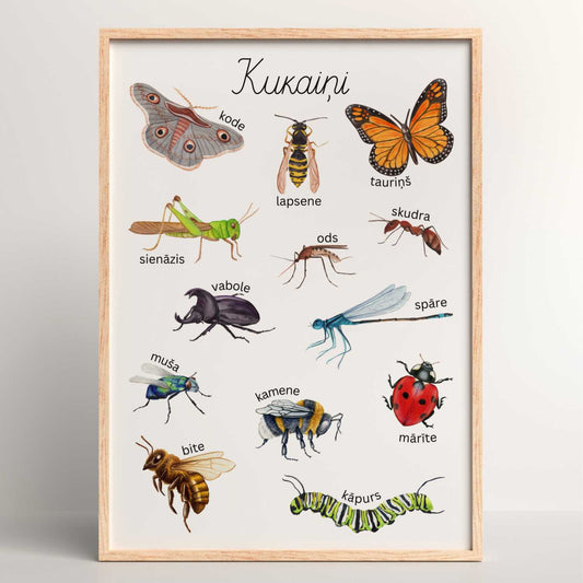 Plakāts "Kukaiņi"