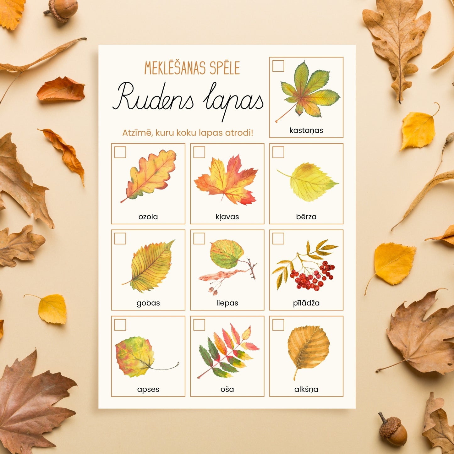 Rudens lapas - meklēšanas spēle baltaita mācību materiāli