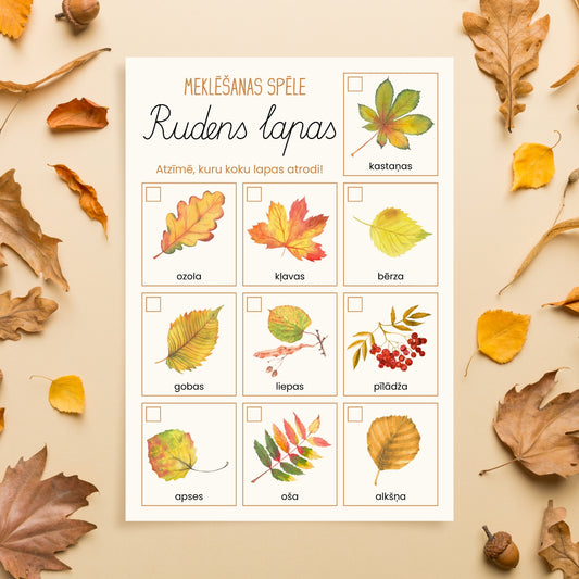 Rudens lapas - meklēšanas spēle baltaita mācību materiāli
