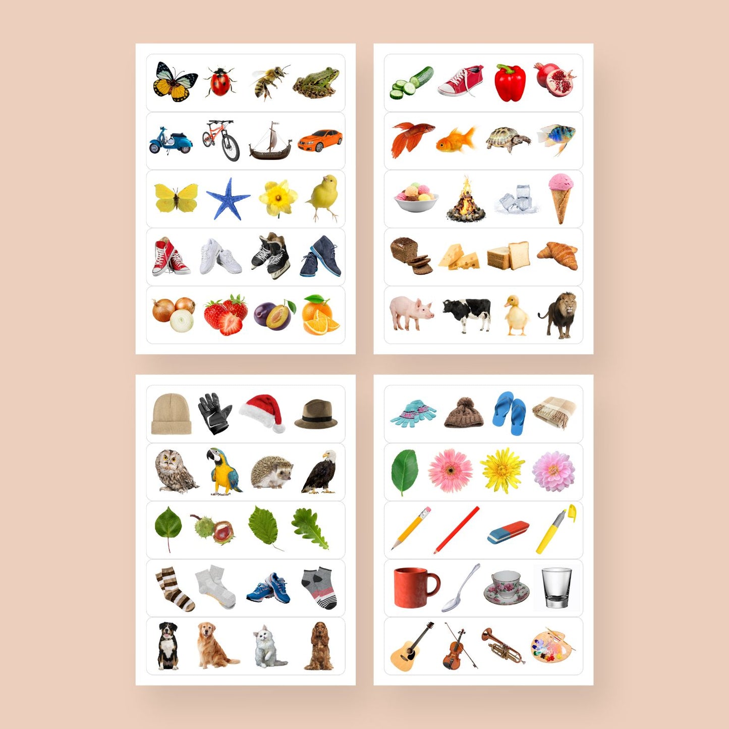 atrodi lieko četras lapas ar krāsainām kartītēm uzdevumi