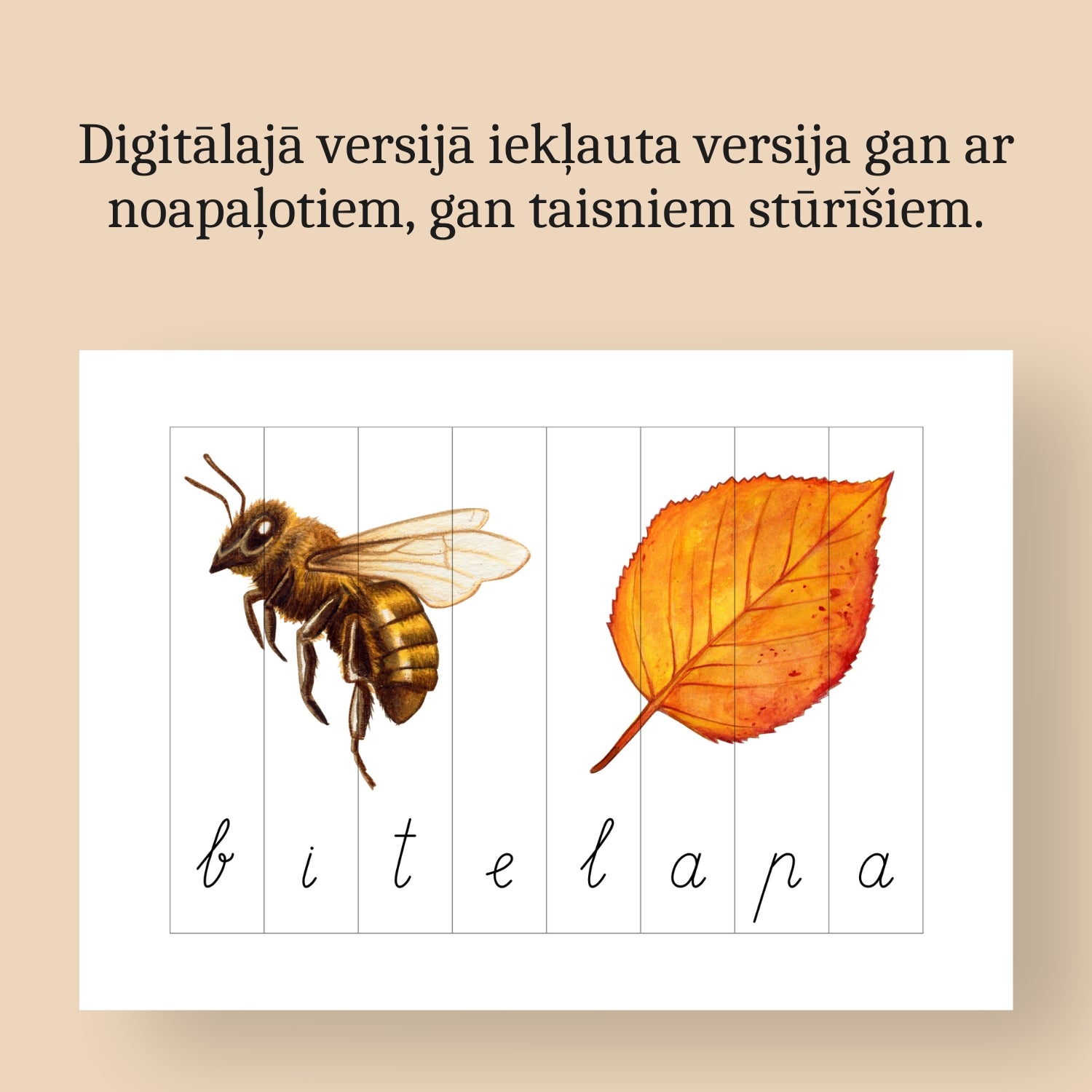 četru burtu puzle ar attēliem divas versijas