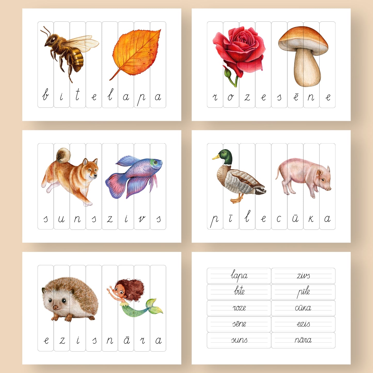 četru burtu puzle dažādi vārdi ar attēliem