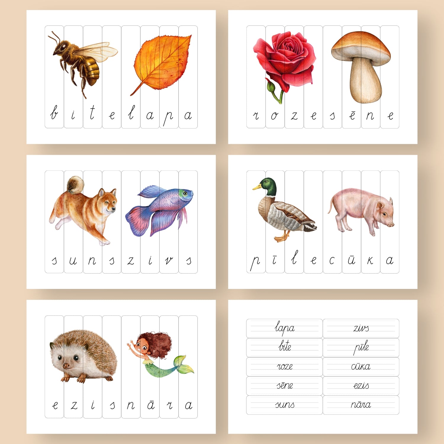 četru burtu puzle dažādi vārdi ar attēliem