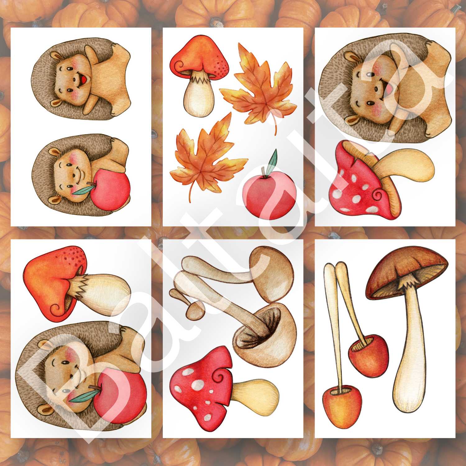 dekorācija rudens krāsaini attēli eži sēnes lapas