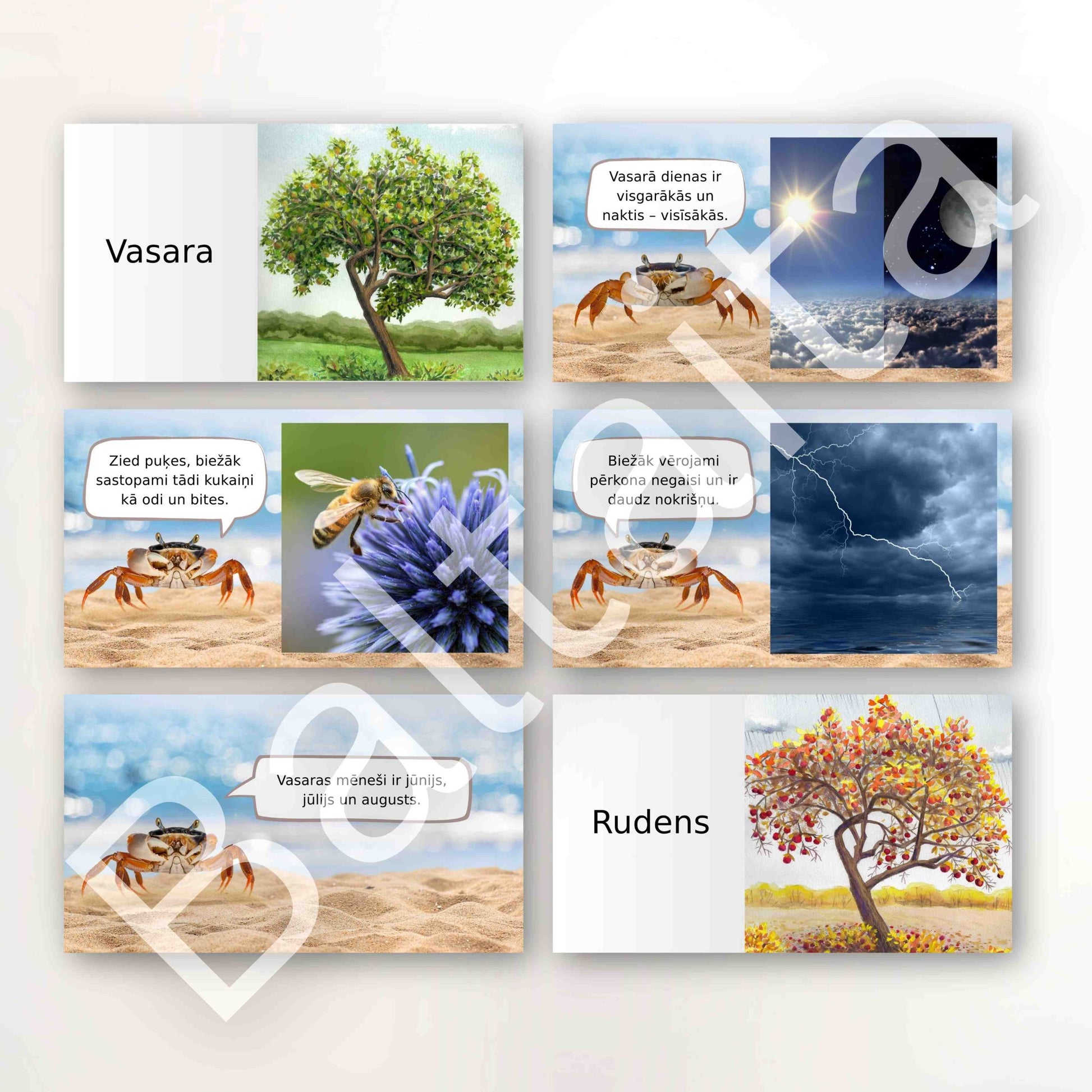 gadalaiku pārmaiņu prezentācija krāsaini dzīvnieku attēli