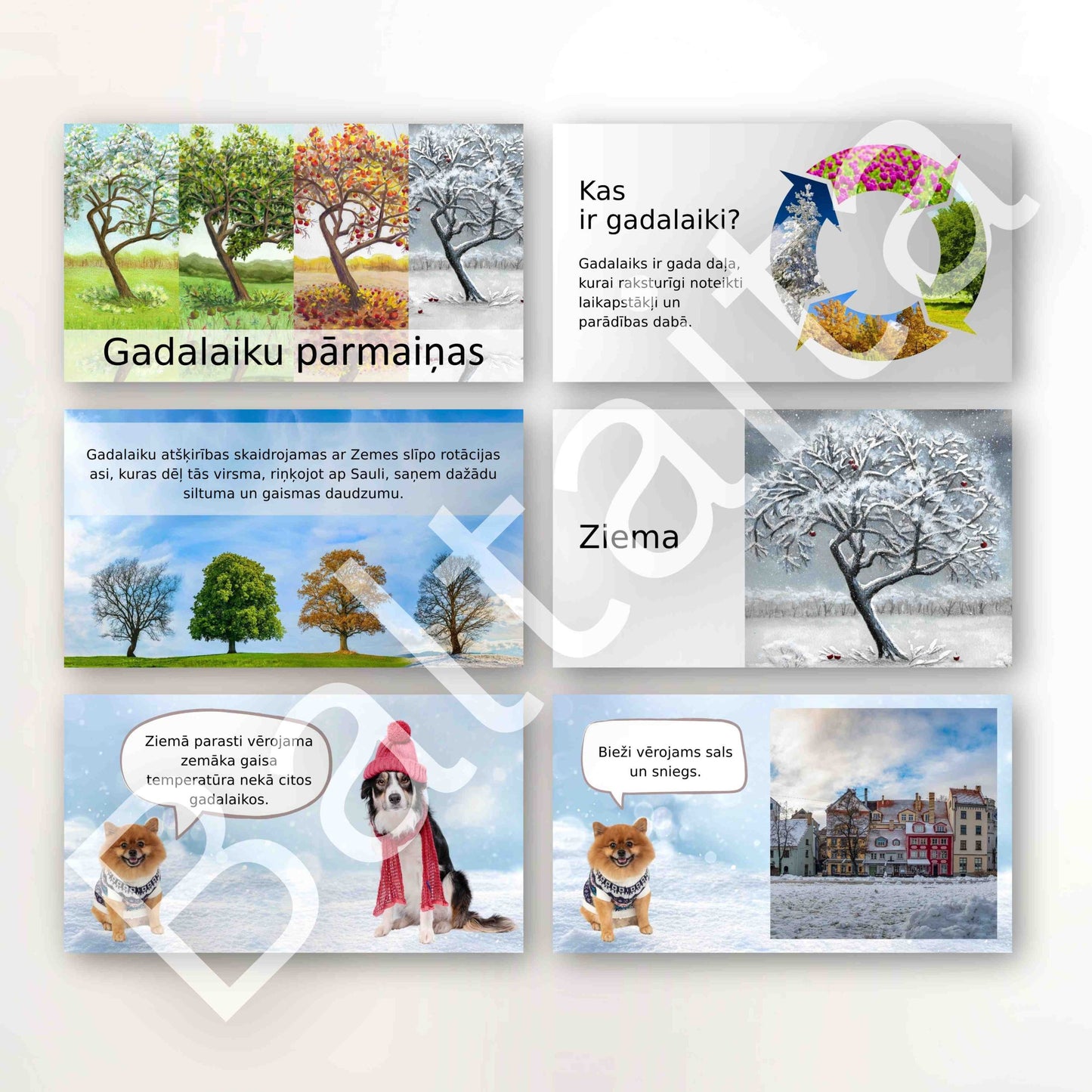 gadalaiku prezentācija ar dzīvniekiem bērniem baltaita