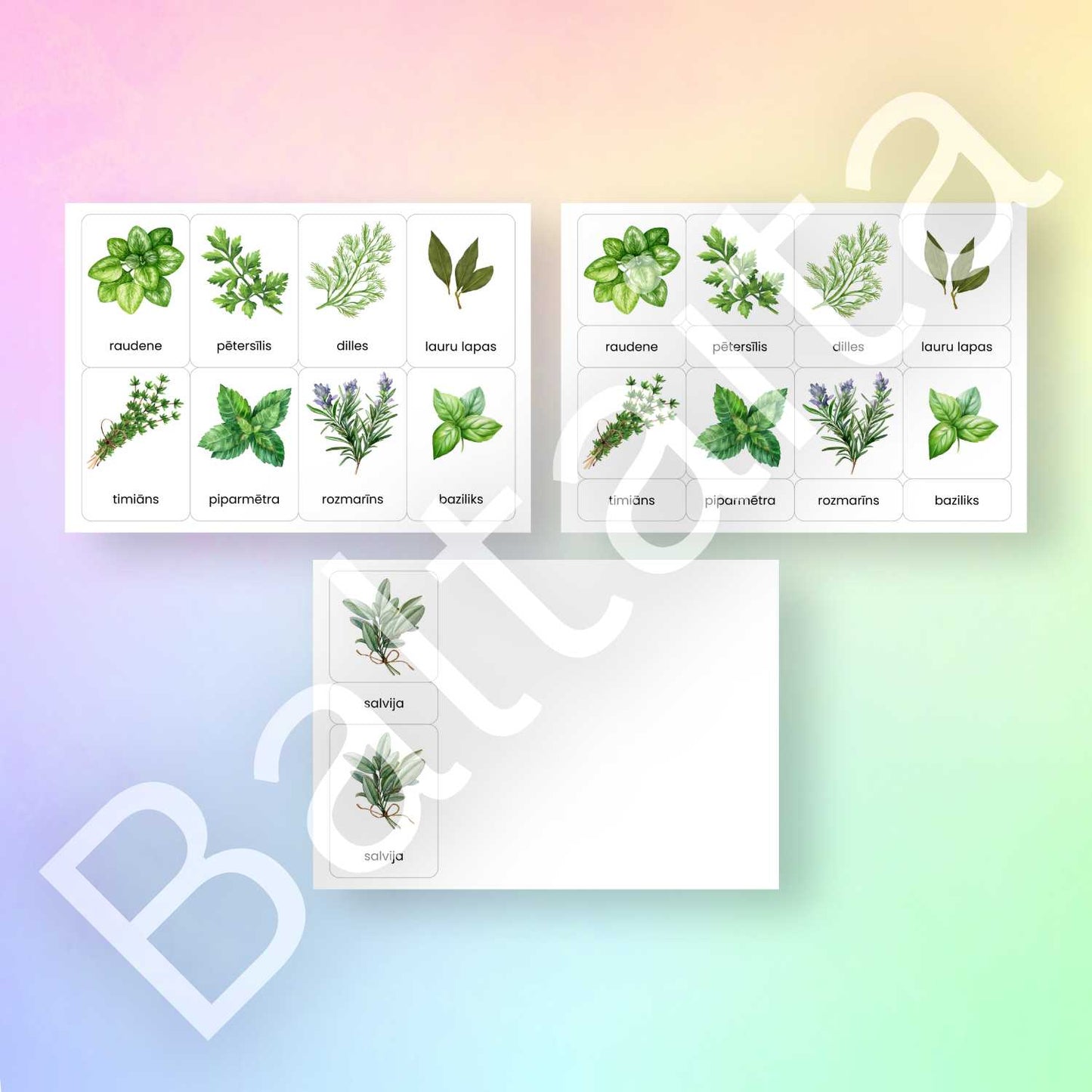 kartītes ar garšaugiem garšaugu attēli un to nosaukumi Baltaita