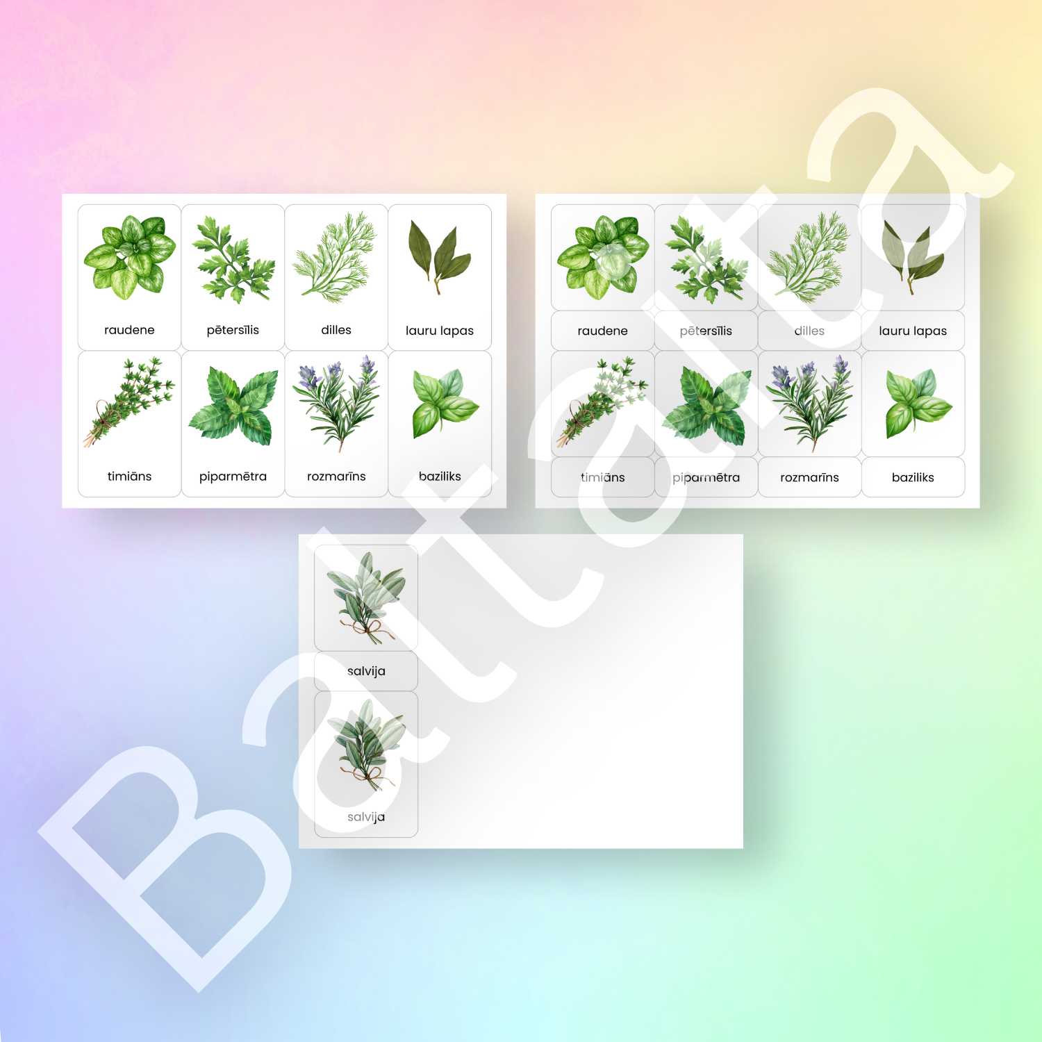 kartītes ar garšaugiem garšaugu attēli un to nosaukumi Baltaita