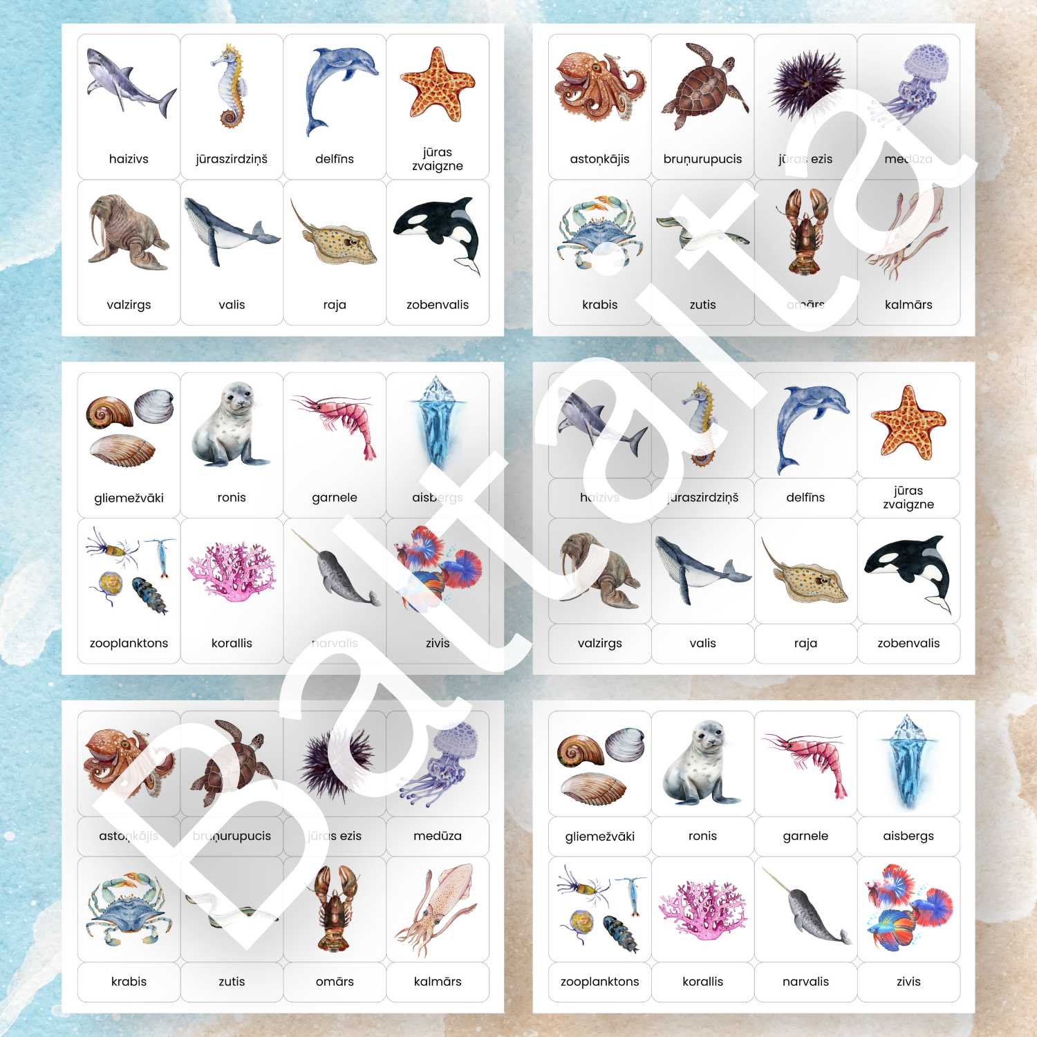 kartītes ar okeāna iemītniekiem rādāmās kartītes okeāna dzīvnieki baltaita