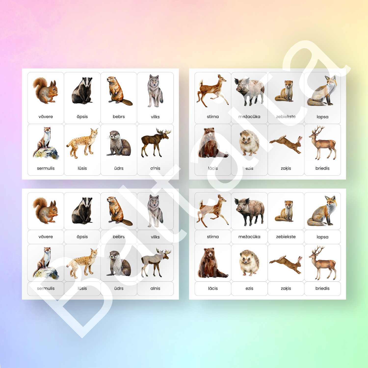 krāsainas dzīvnieku kartītes Latvijas meža dzīvnieki baltaita