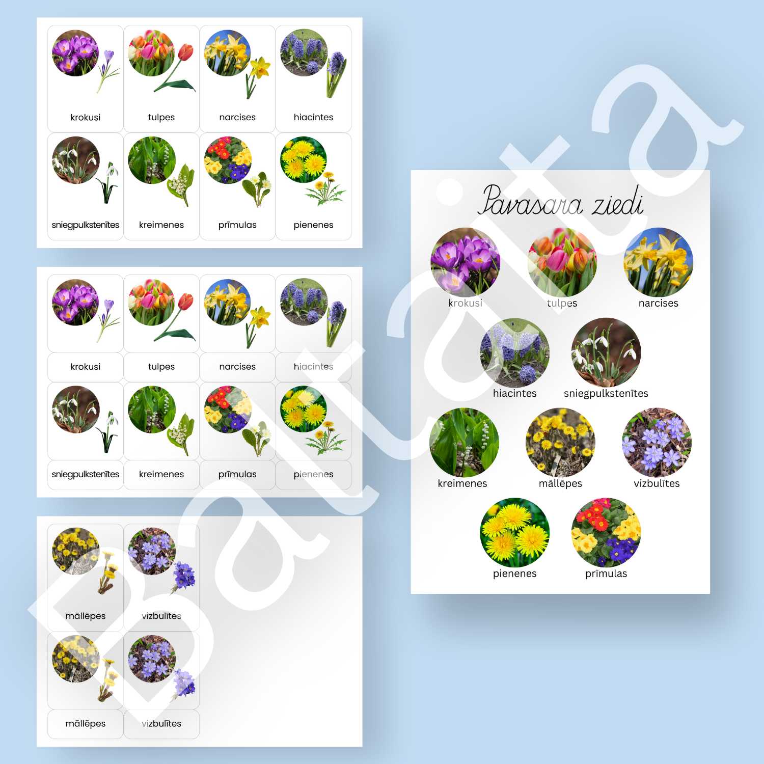 krāsains plakāts un kartītes ar pavasara ziediem viendaļīgas un divdaļīgas kartītes