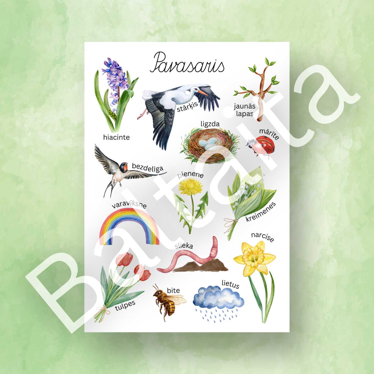 krāsains plakāts ar attēliem pavasaris baltaita