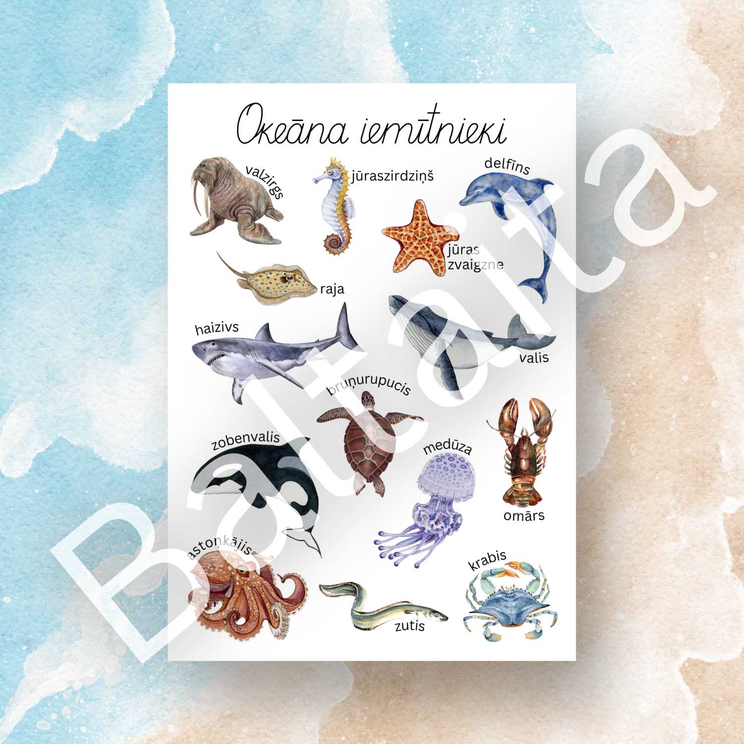 krāsains plakāts okeāna iemītnieki baltaita