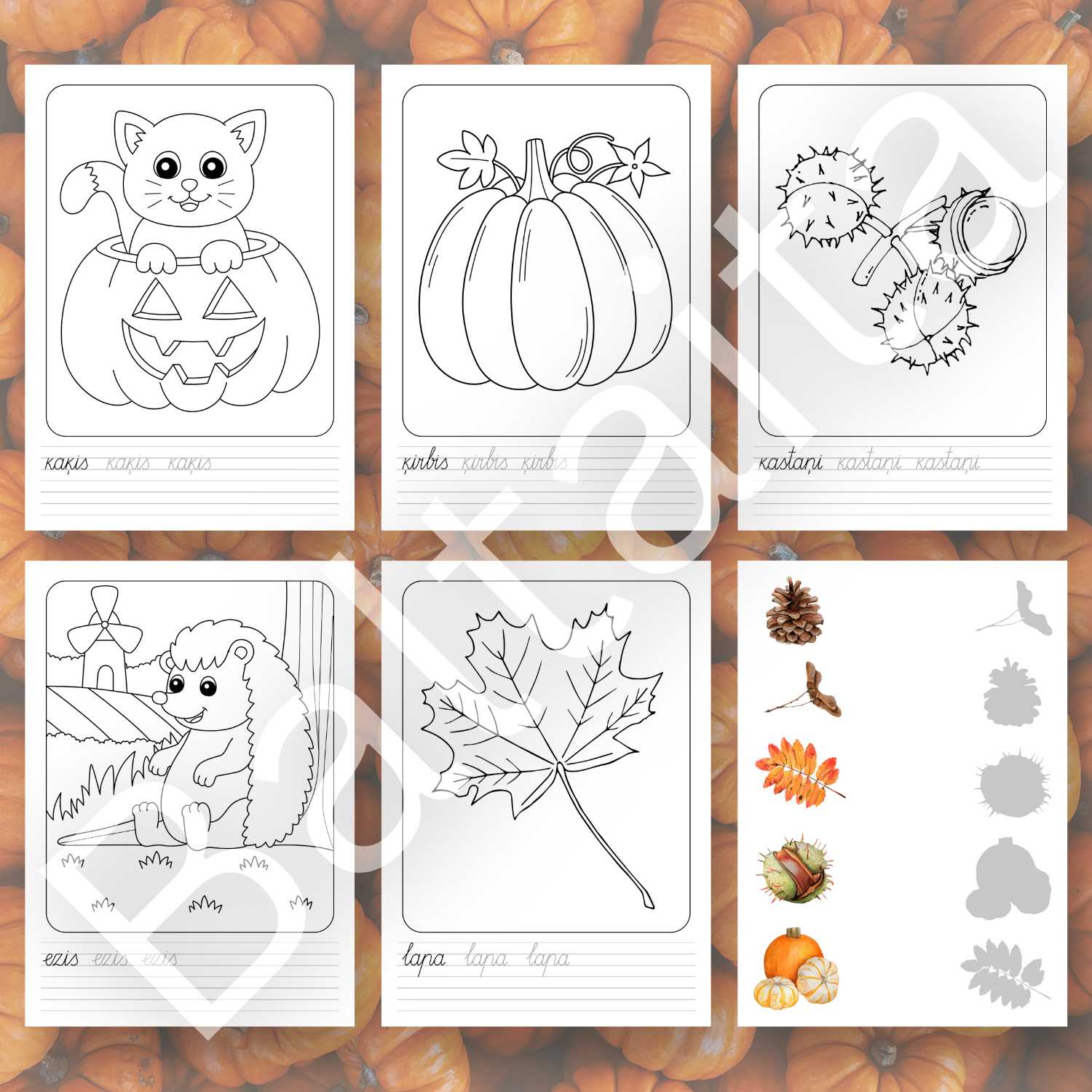 krāsojamās lapas rudens vārdu rakstīšana baltaita savienošanas uzdevumi