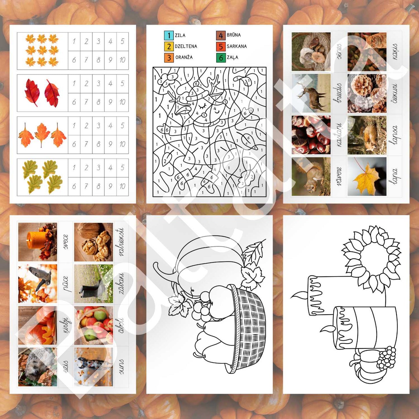 krāsošanas uzdevumi krāsojamās lapas kartītes ar nosaukumiem baltaita