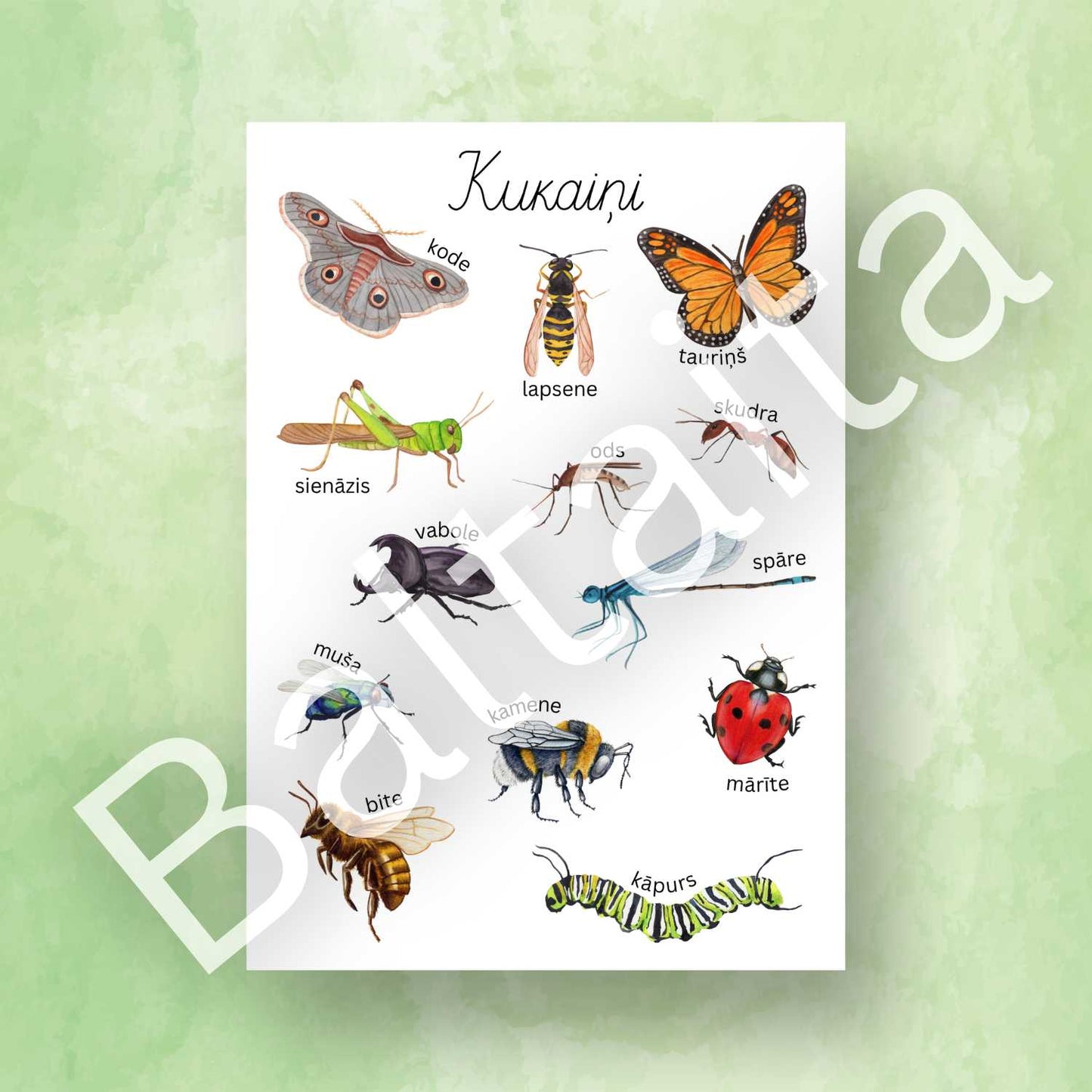 Plakāts "Kukaiņi"