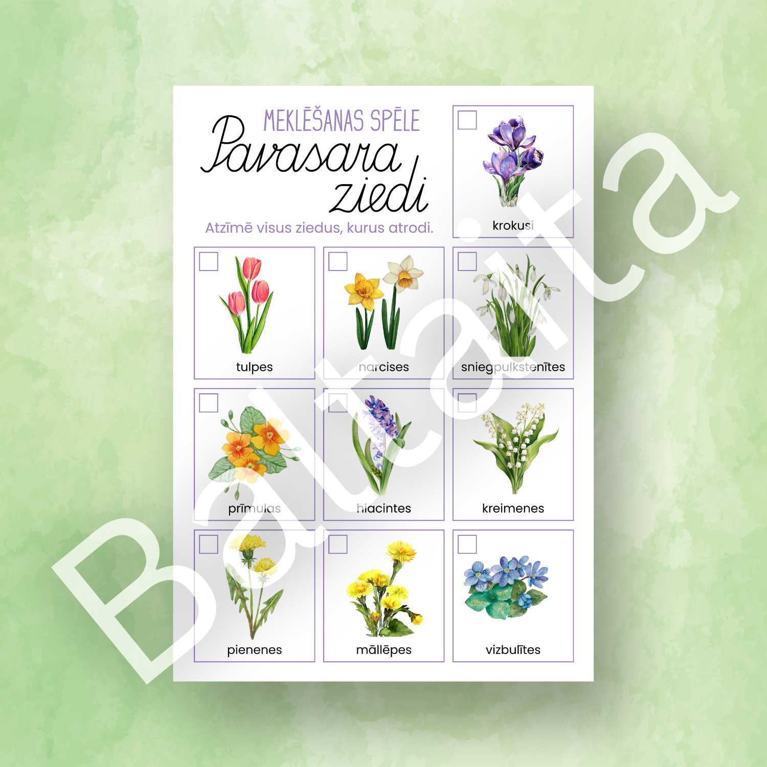 meklēšanas spēle pavasara ziedi atzīmē ko atrodi baltaita