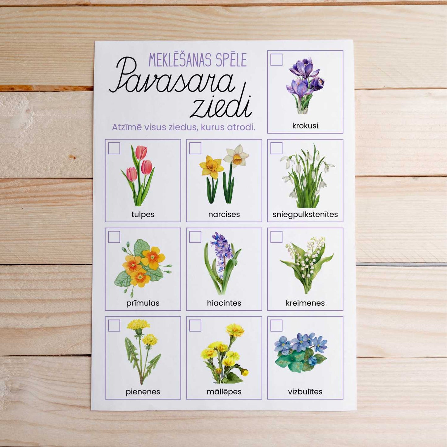 pavasara ziedi meklēšanas spēle baltaita atrodi un atzīmē baltaita