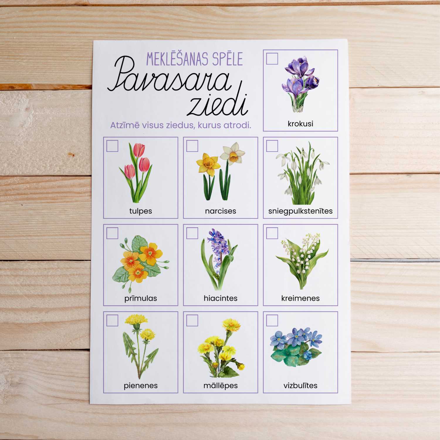 pavasara ziedi meklēšanas spēle baltaita atrodi un atzīmē baltaita