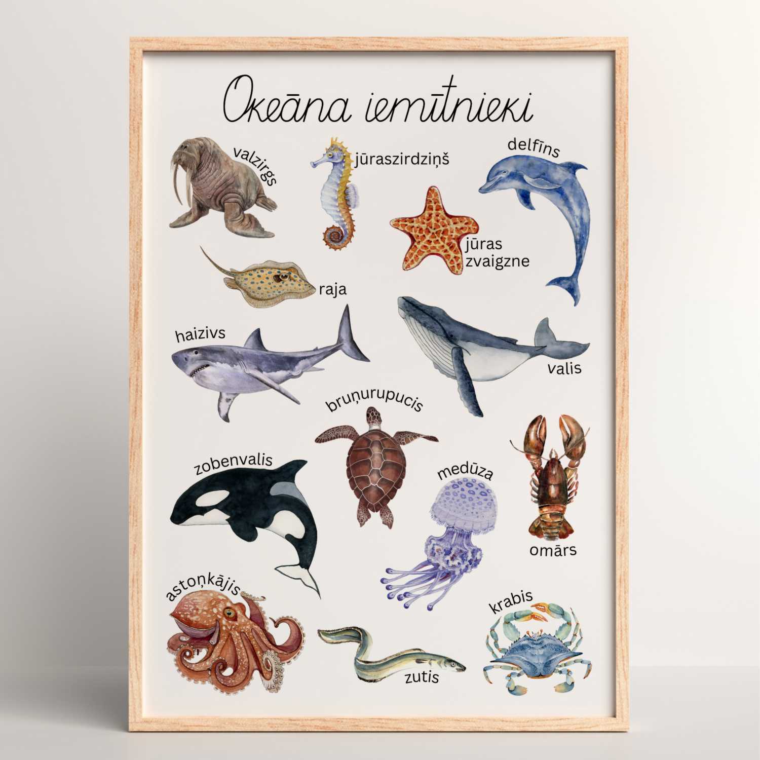 plakāts okeāna iemītnieki krāsains plakāts baltaita