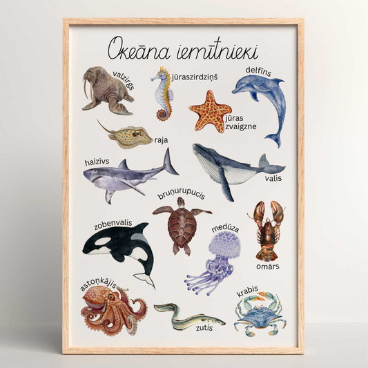 plakāts okeāna iemītnieki krāsains plakāts baltaita