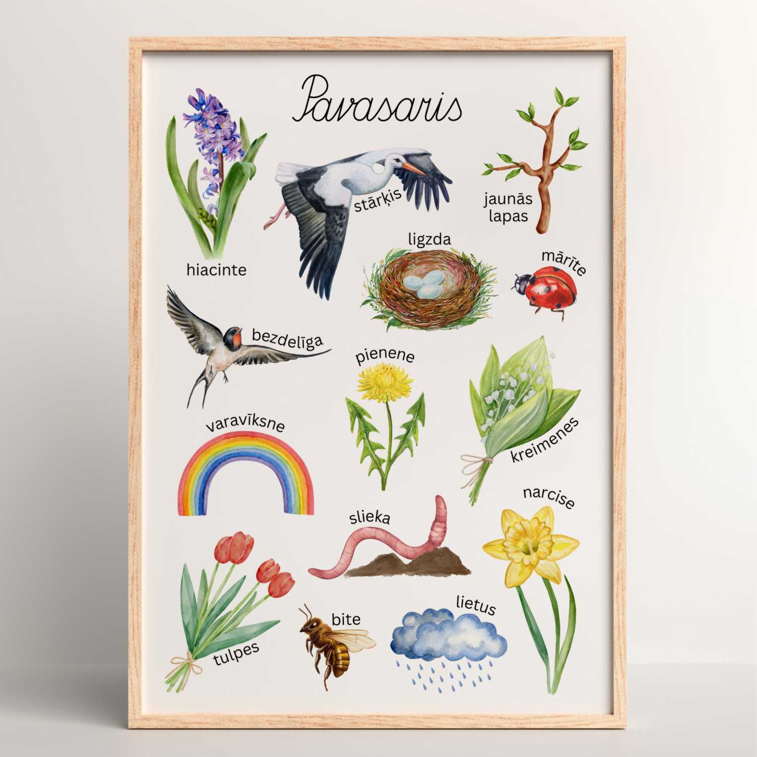 plakāts pavasaris krāsaini attēli un nosaukumi baltaita