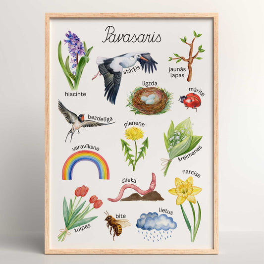 plakāts pavasaris krāsaini attēli un nosaukumi baltaita