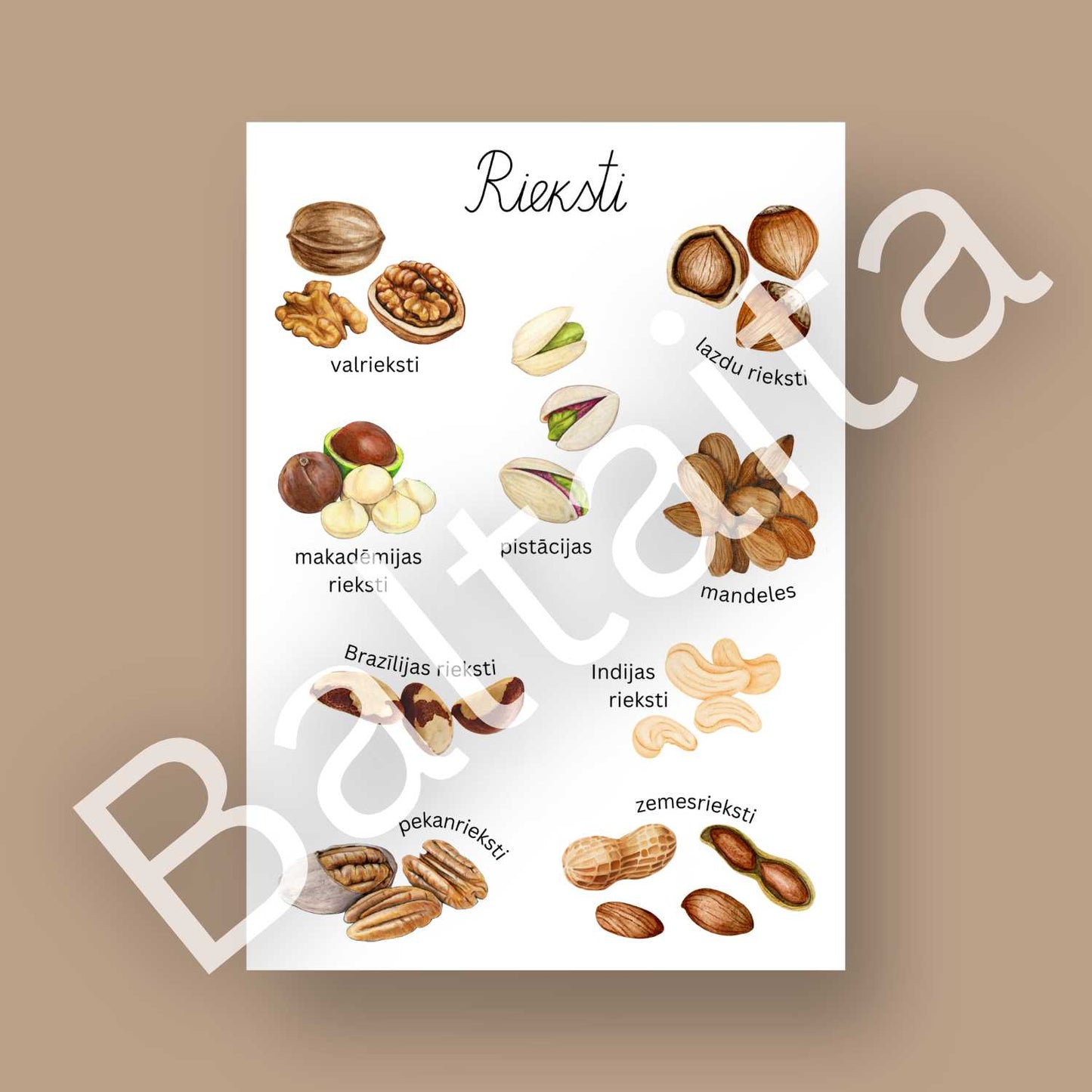 plakāts rieksti un riekstu nosaukumi dažādi rieksti mācību materiāli baltaita