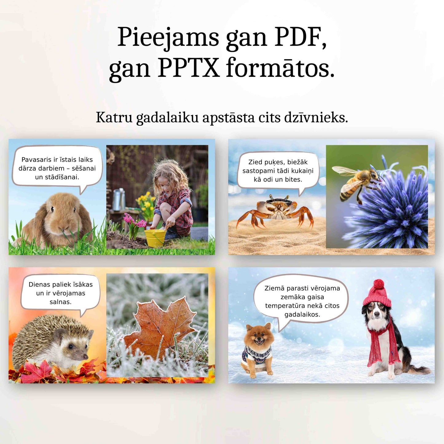 prezentācija bērniem par gadalaikiem ar dzīvniekiem