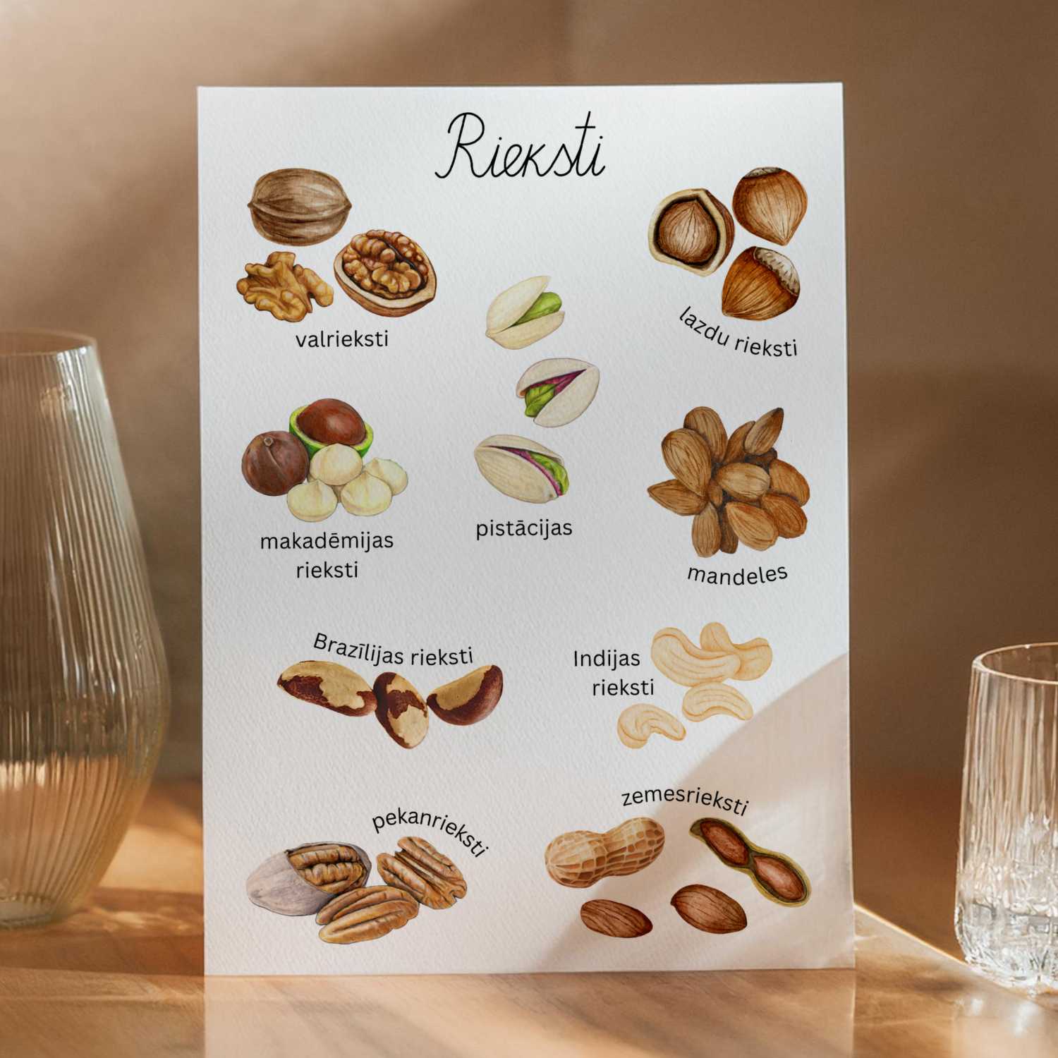 rieksti plakāts dažādi riekstu attēli ar nosaukumiem baltaita