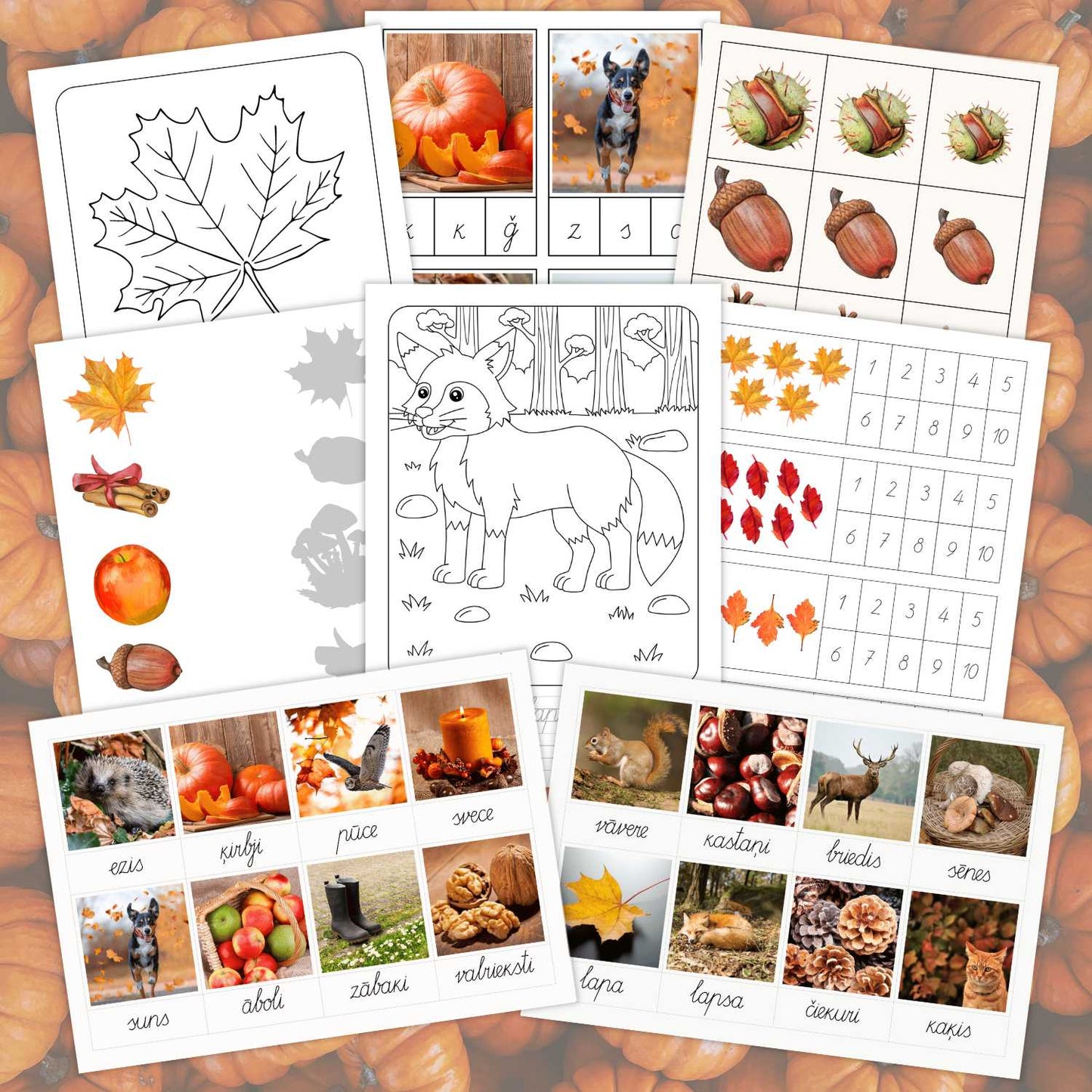 rudens darba lapas dažādi uzdevumi pirrmskola sākumskola baltaita