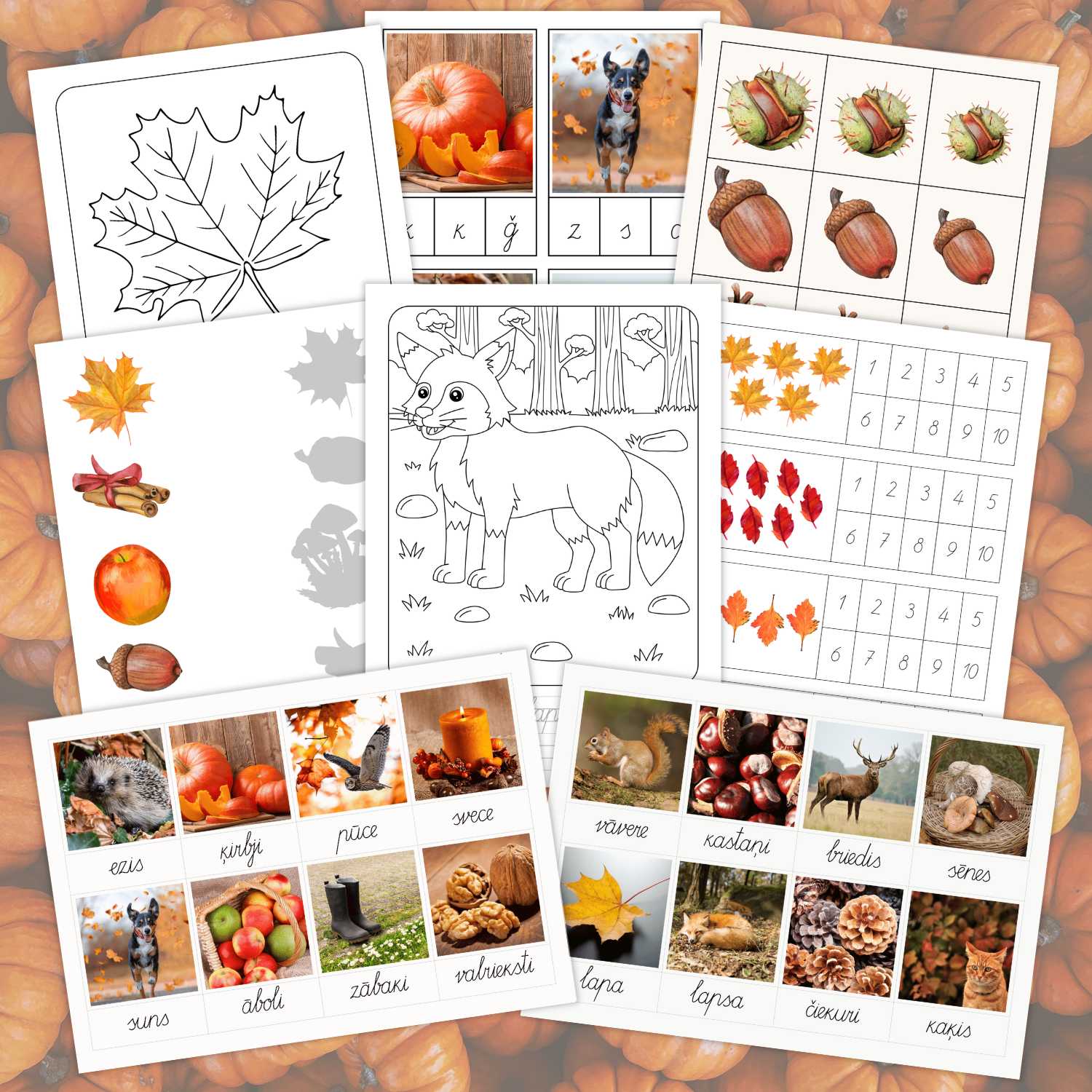 rudens darba lapas dažādi uzdevumi pirrmskola sākumskola baltaita