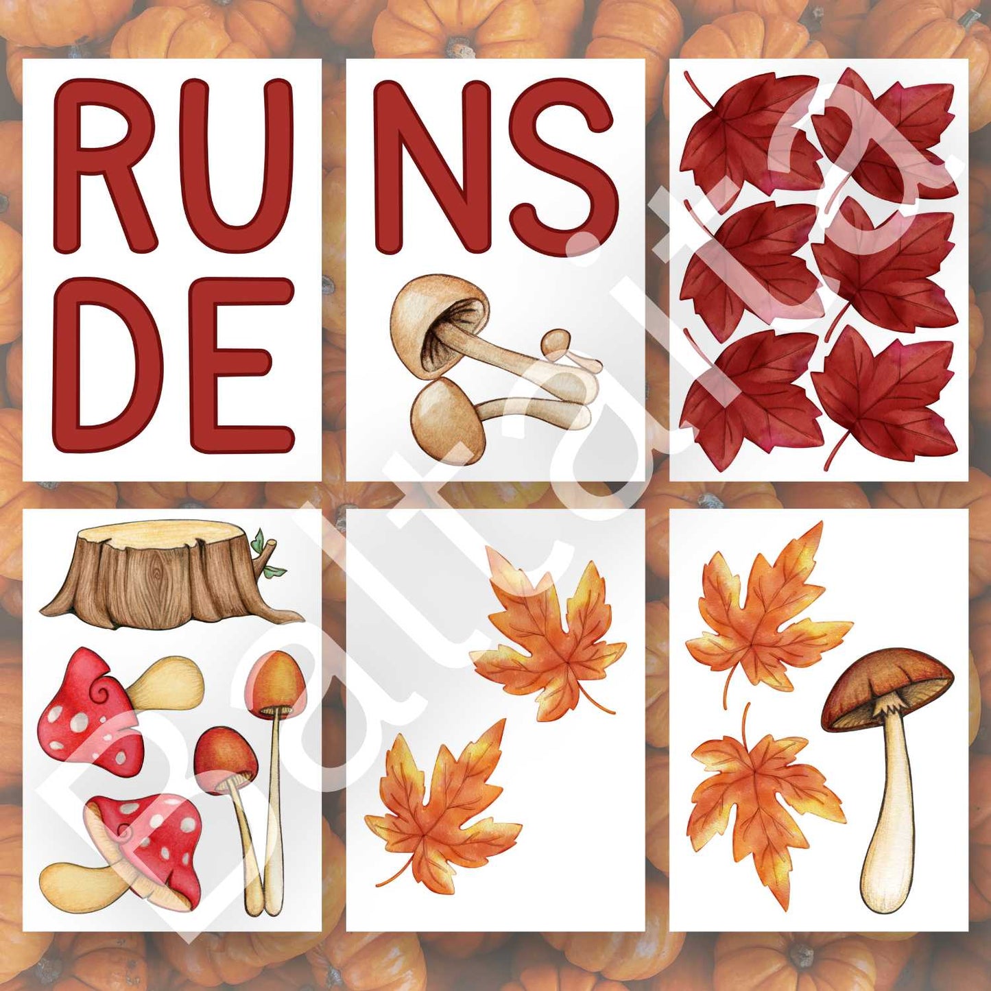 rudens dekors mācību telpai rudens lapas sēnes baltaita