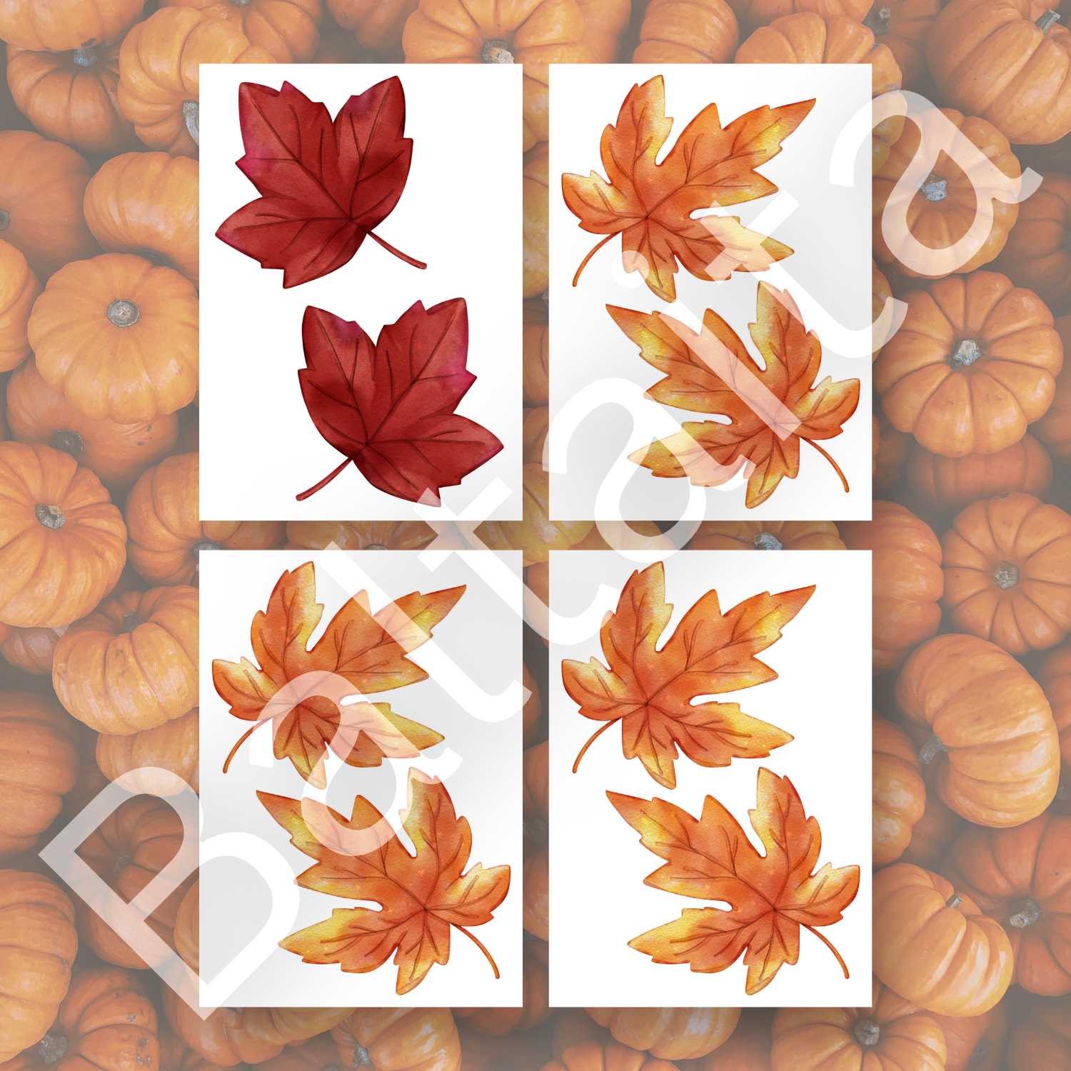 rudens lapas dekors mācību telpām dekorācija baltaita