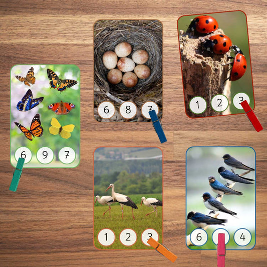 Skaitīšanas knaģu kartītes - pavasaris