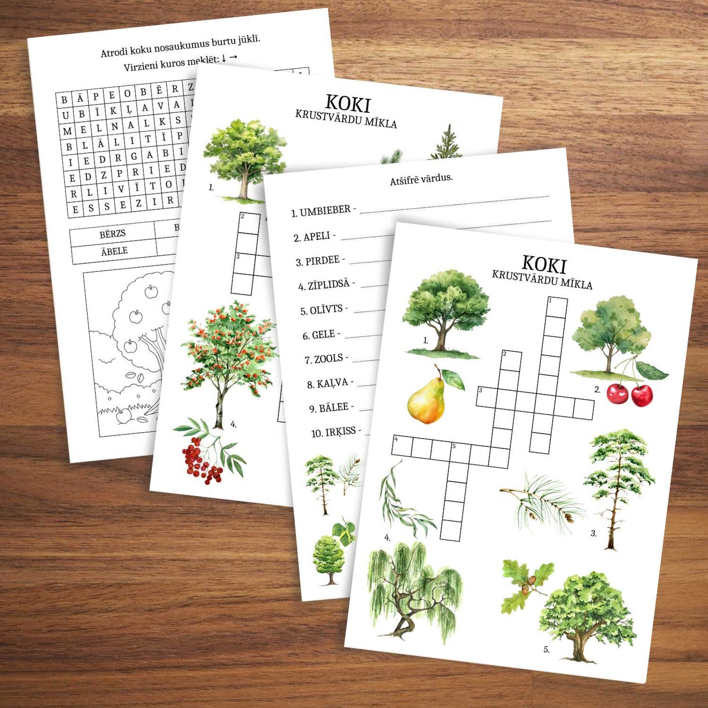 vārdu spēles koki Latvijas koki krustvārdu mīklas baltaita