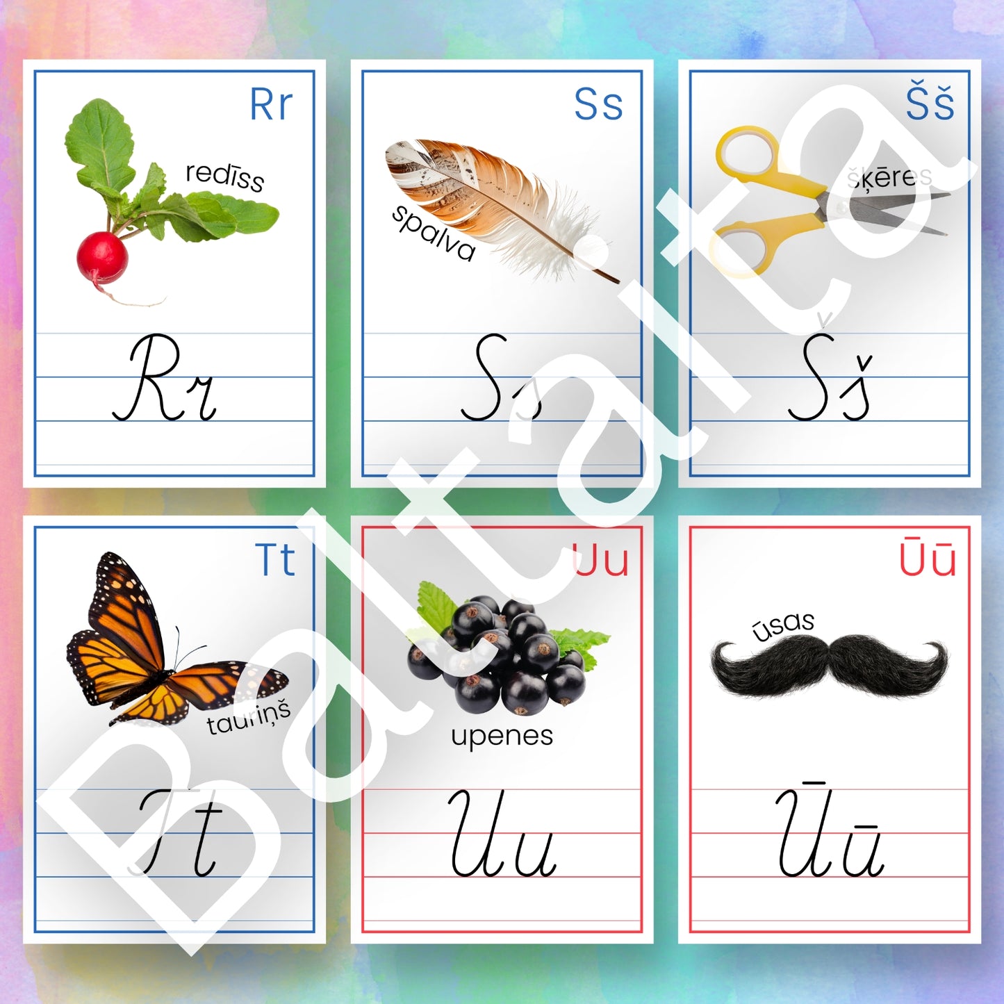 Alfabēta plakāti patskaņi un līdzskaņi lieli rakstītie burti mācību materiāls baltaita