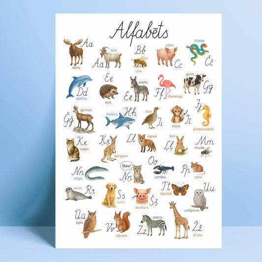 Alfabēta plakāts - dzīvnieki krāsains plakāts ar dzīvnieku attēliem un rakstītajiem burtiem
