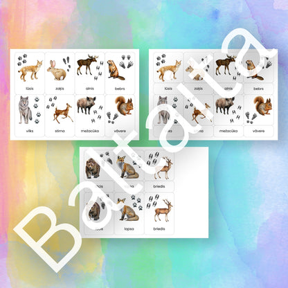 Dzīvnieku pēdu nospiedumi - kartītes un spēles Baltaita krāsaini mācību materiāli bērniem