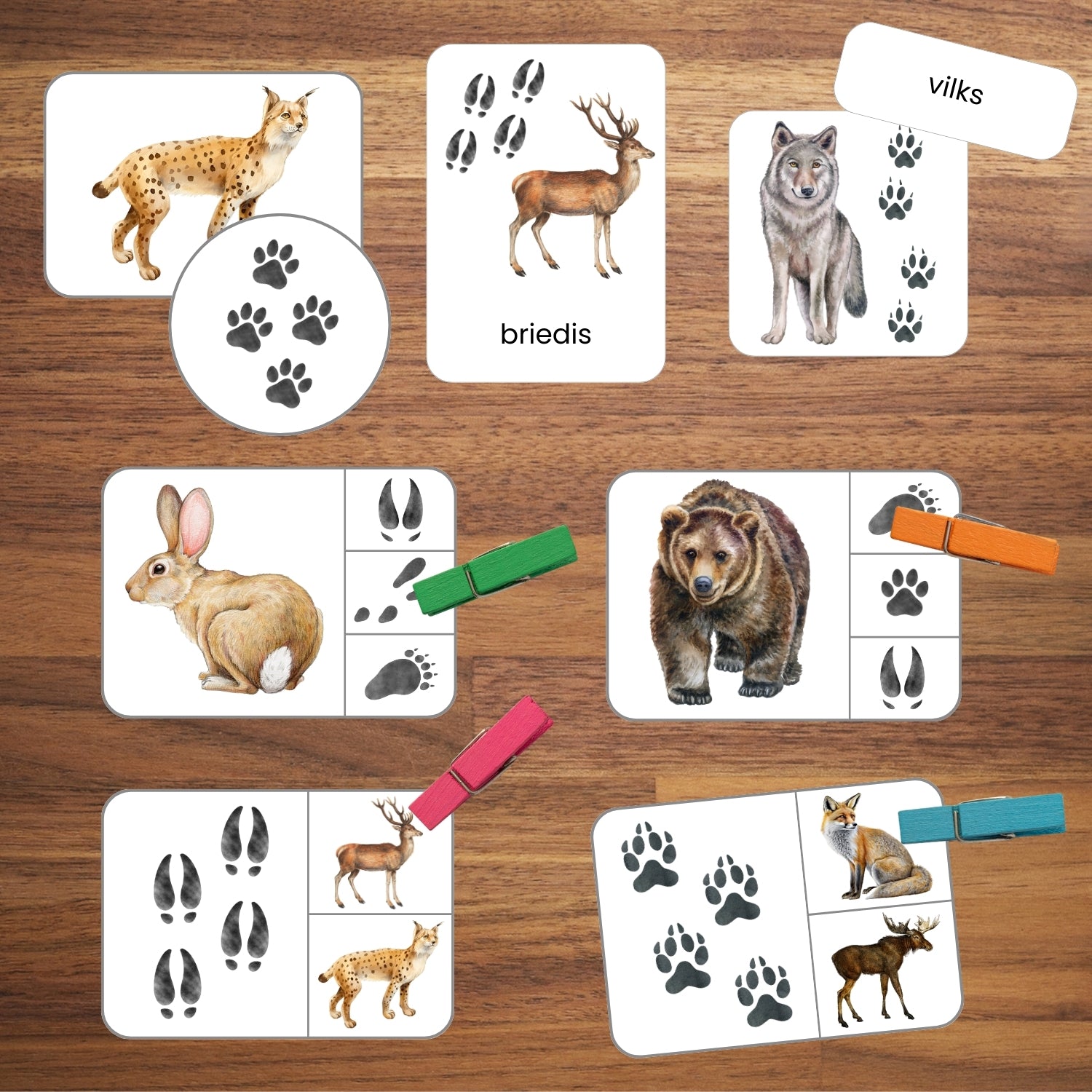 Dzīvnieku pēdu nospiedumi - kartītes un spēles krāsaini mācību materiāli Baltaita par dzīvniekiem