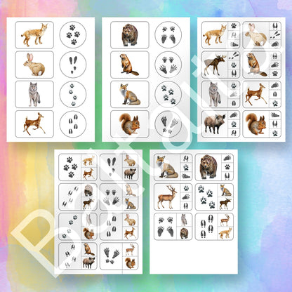 Dzīvnieku pēdu nospiedumi - kartītes un spēles rādāmās kartītes par dzīvniekiem dzīvnieku pēdas nospiedumi Baltaita