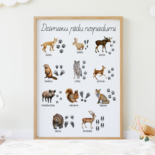 Dzīvnieku pēdu nospiedumi - plakāts Baltaita plakāts ar dzīvnieku pēdu nospiedumiem krāsaini dzīvnieku plakāti