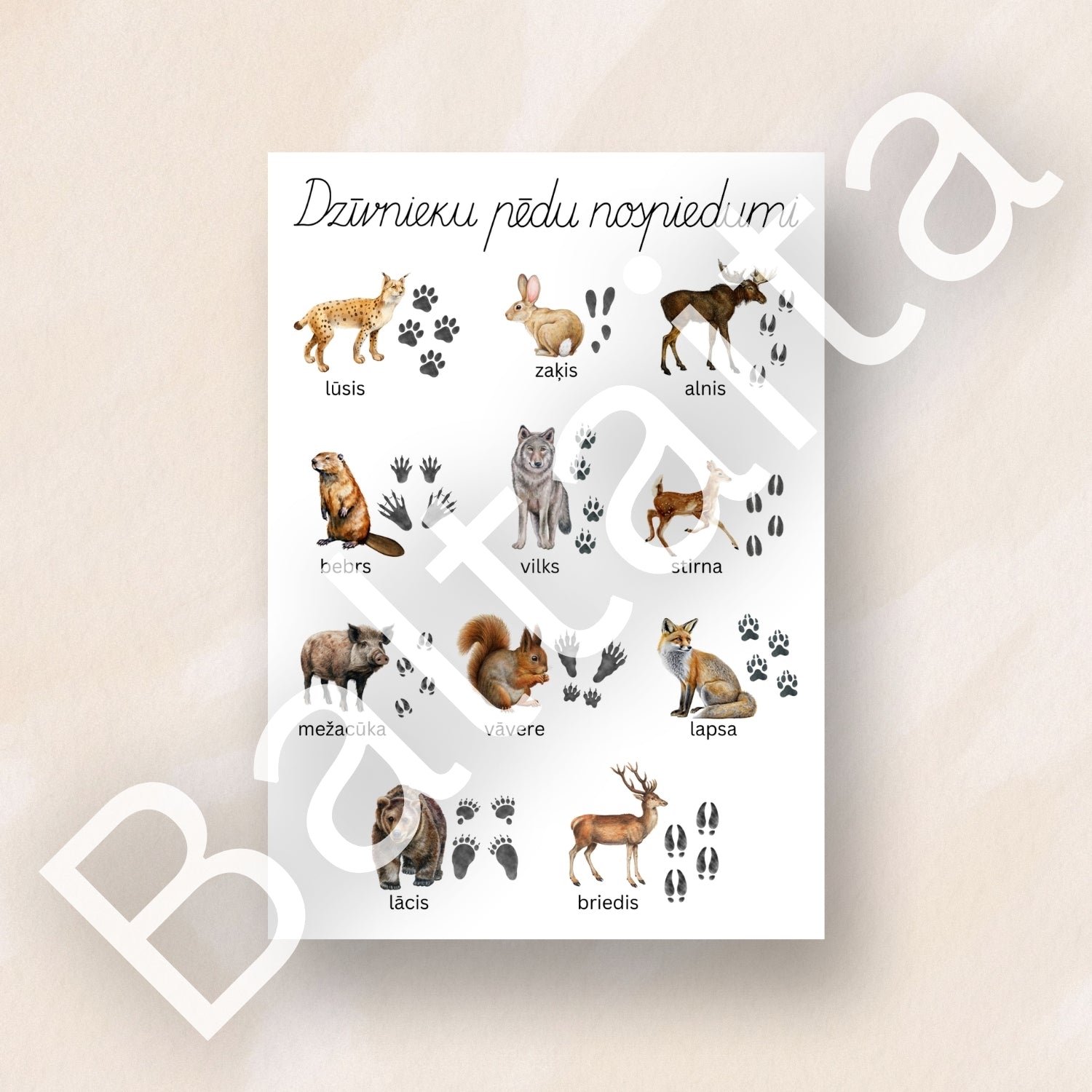 Dzīvnieku pēdu nospiedumi - plakāts par dzīvniekiem pēdu nospiedumi dzīvnieku plakāts Baltaita